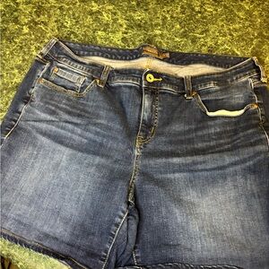 Torrid Blue Jean Shorts